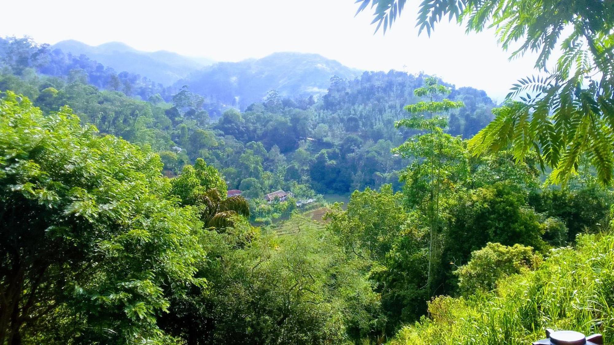 Ferienwohnung Green Jungle " Cool View" Ella Exterior foto